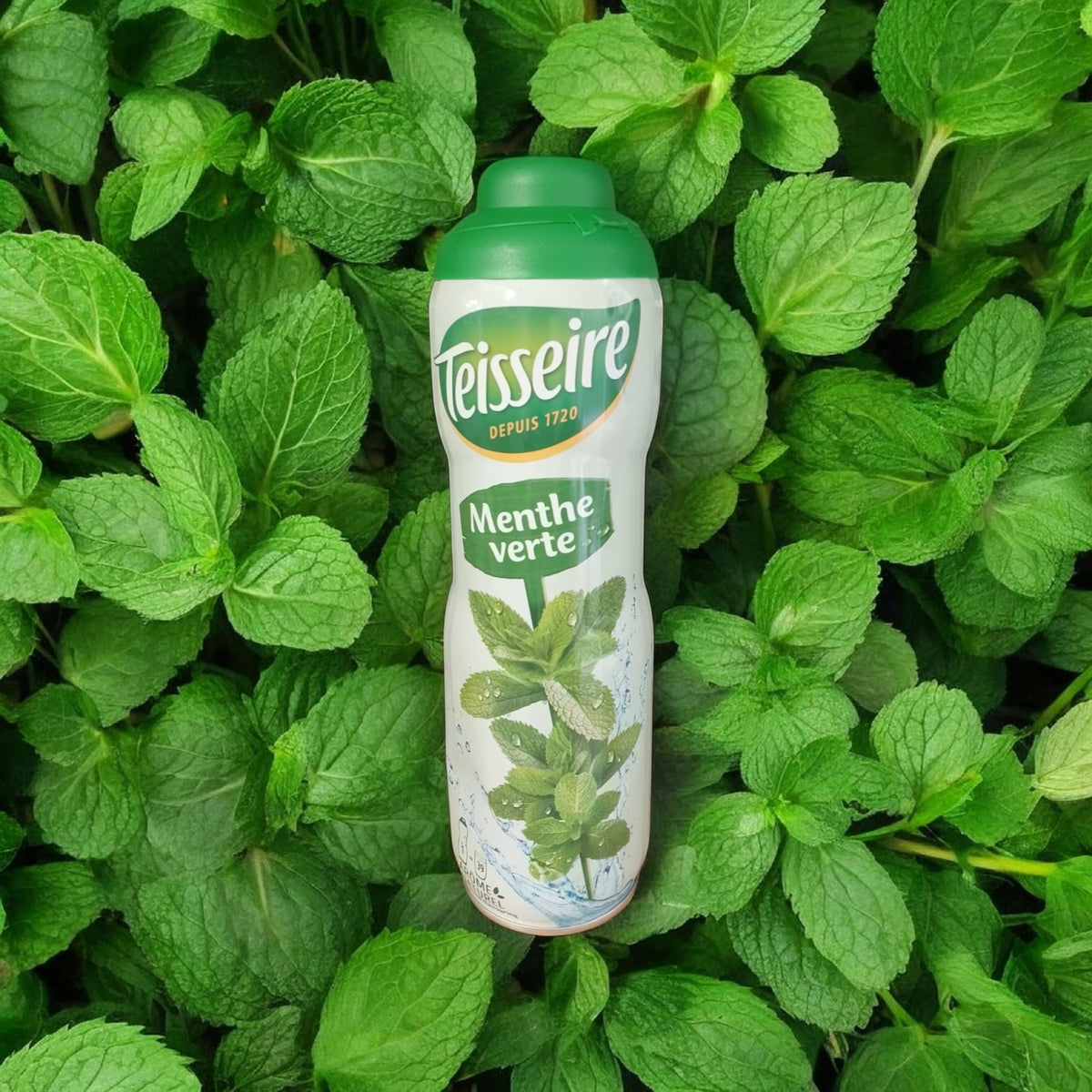 Sirop Teisseire menthe