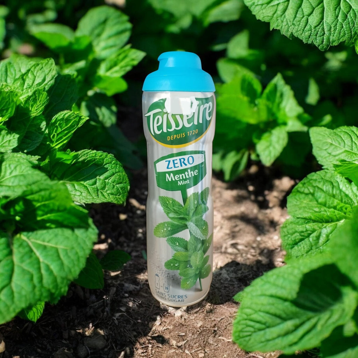Sirop Teisseire menthe 0 %